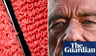 RFK Jr’s new diet guidelines pose risks for health and the environment, experts say | Robert F Kennedy Jr