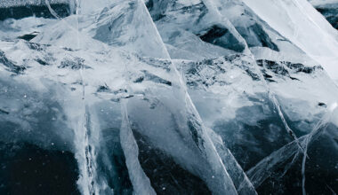 Employers beware – the employee’s habitual place of work may change during the course of employment and, in turn, the law governing the relationship., Laura Llangozi, Sarah Rohmann