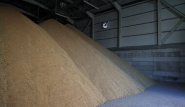 Greek rice growers fear Mercosur deal will price them out of business