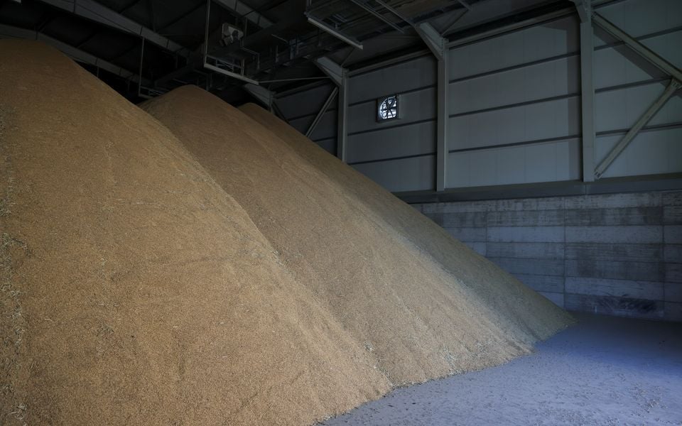 Greek rice growers fear Mercosur deal will price them out of business