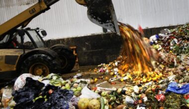 Food waste and electrical recycling set for big changes in Swindon