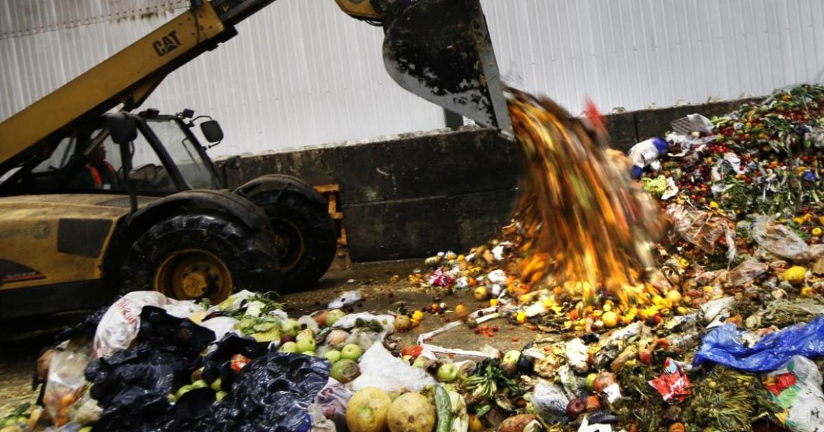 Food waste and electrical recycling set for big changes in Swindon