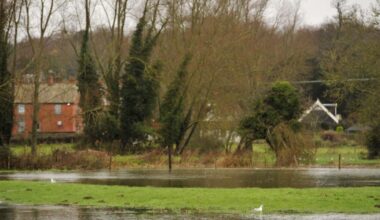 Environment Agency issues flood alert for Suffolk rivers