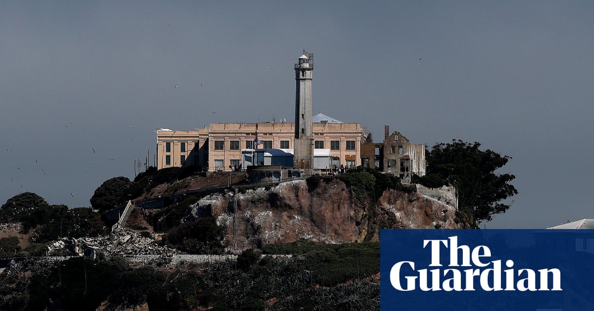 Coyote stuns observers by braving rough waters to swim to Alcatraz | San Francisco