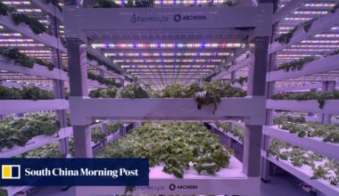 How Johor-Singapore SEZ is delivering for businesses a year on