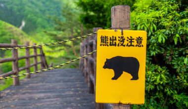 How Japan is fighting back against a surge of bear attacks