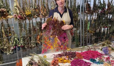 Flowers laid after Bondi terror attack will form new artwork at Sydney Jewish Museum - The Art Newspaper