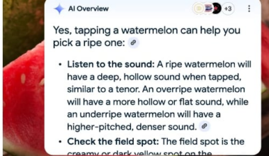 Google AI Overviews Cite YouTube Most for Health Queries - 조선일보