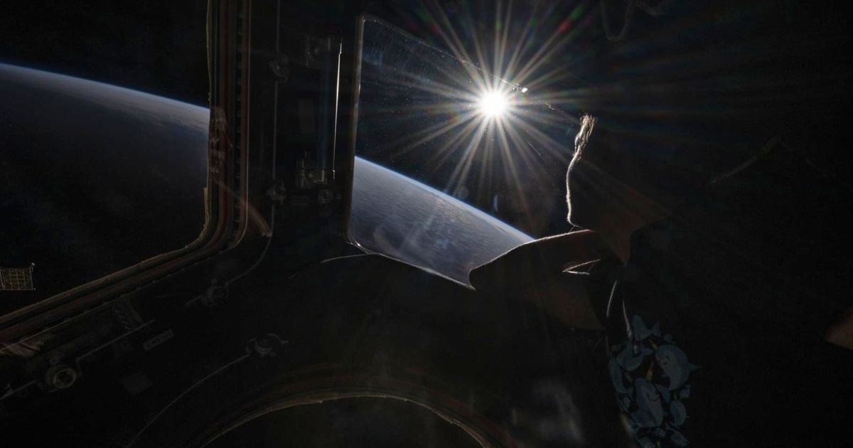 Astronauts' brains change shape and position in space: study