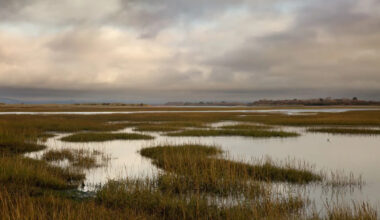 Yahoo lifestyle home