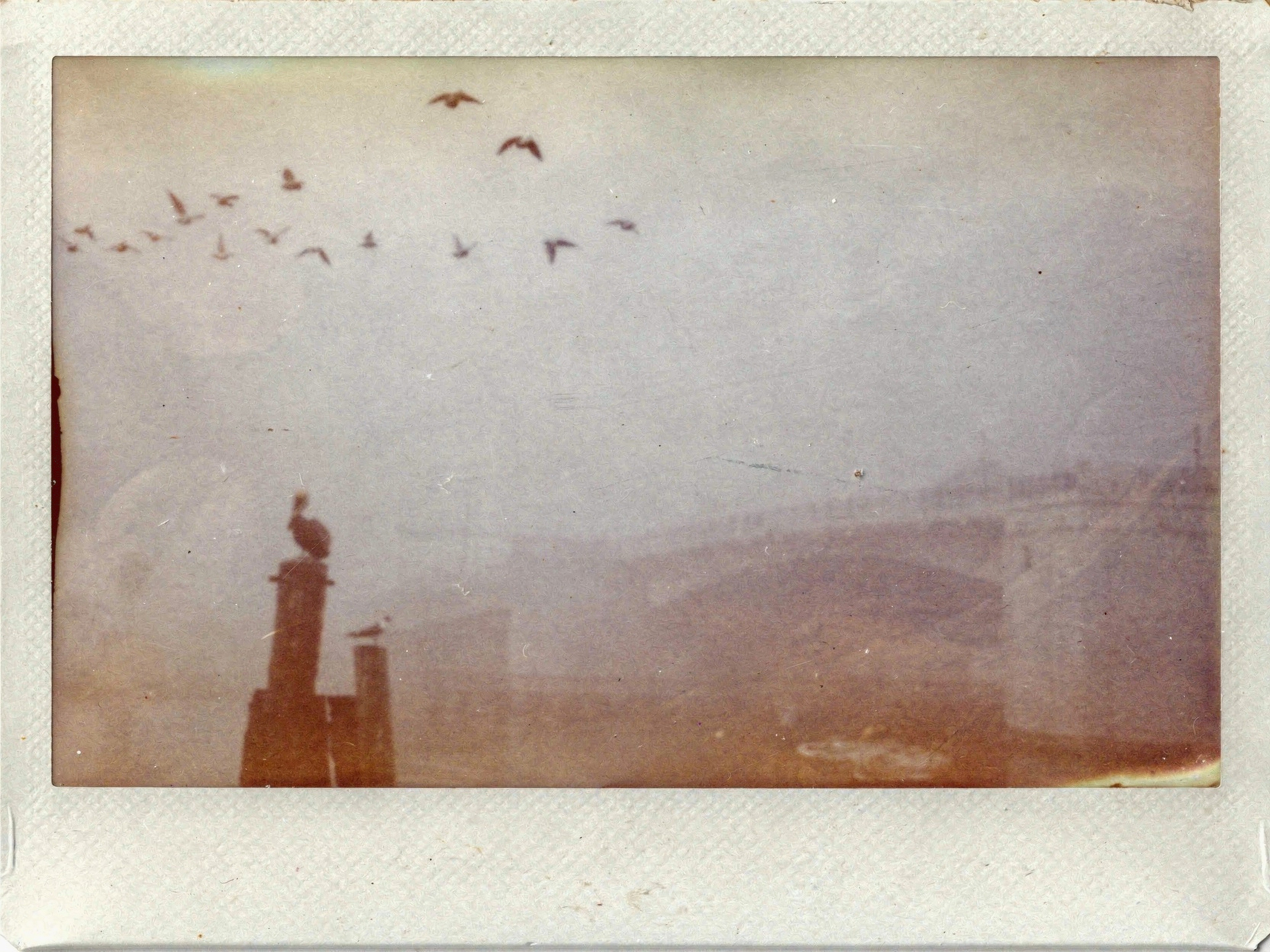 Images AI edited with VSCO AI Labs