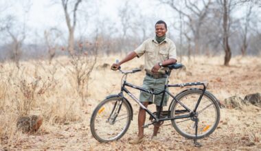 ‘On my Buffalo Bicycle, a lion won’t know what animal I am’