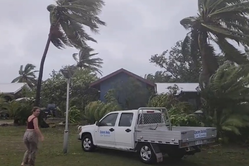 A cyclone bending coconut palms.
