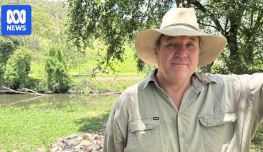 Scenic Rim Council red tape on camping pushes farmer to consider selling up