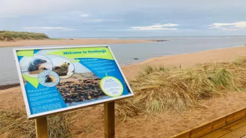 A 'welcome to Newburgh' information board about the seals, on sand next to the estuary.