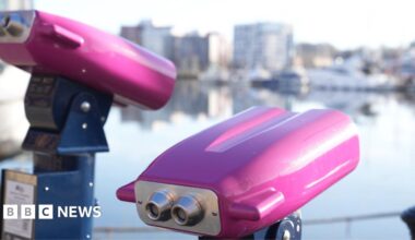 Two brightly coloured binoculars, with purple tops on blue stands, by a waterfront. They are facing in different directions. The water and building behind them is slightly blurred.