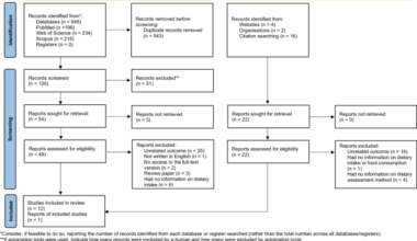 Overview of dietary intake assessment methods and dietary outcomes in Roma population: a scoping review