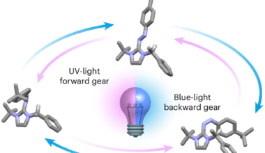 Wavelength-steered directional rotation in an autonomous light-driven molecular motor