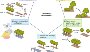 Five rules for scientifically credible nature markets