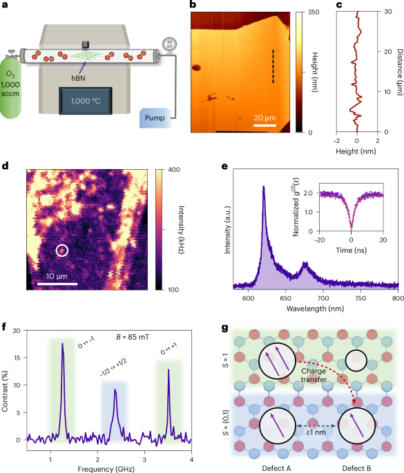 Narrowband quantum emitters in hexagonal boron nitride with optically addressable spins