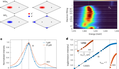 Collective photon emission and ferroelectric exciton ordering near Mott insulating state in WSe2/WS2 heterobilayers