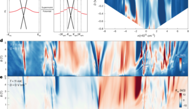 Strong correlations and superconductivity in the supermoiré lattice