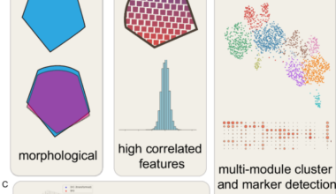 haCCA: multi-module Integration of spot-based spatial transcriptomes and metabolomes