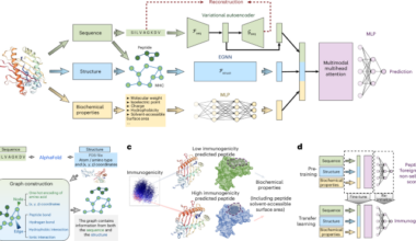ImmunoStruct enables multimodal deep learning for immunogenicity prediction