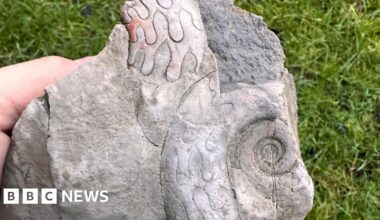 Staffordshire wall find gives glimpse of Peak's prehistoric past