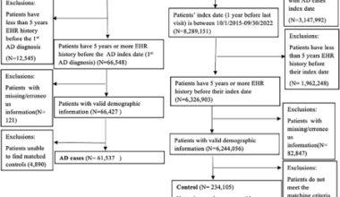 Early prediction of Alzheimer’s disease using longitudinal electronic health records of US military veterans