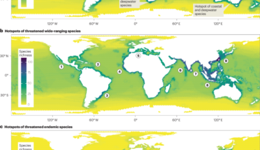 Bending back the curve of shark and ray biodiversity loss