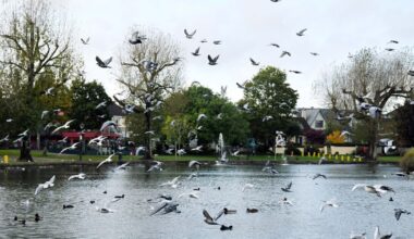Fishing ban at Cork's Lough lifted three months after first alert