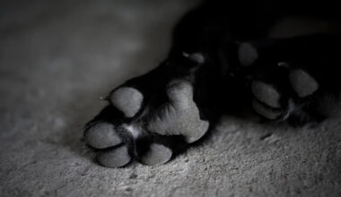 Yahoo lifestyle home