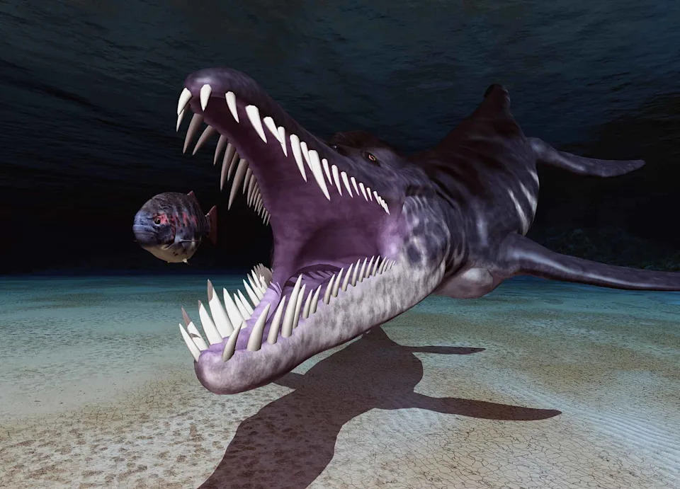 <p class="copyright">©iStock.com/MR1805</p>