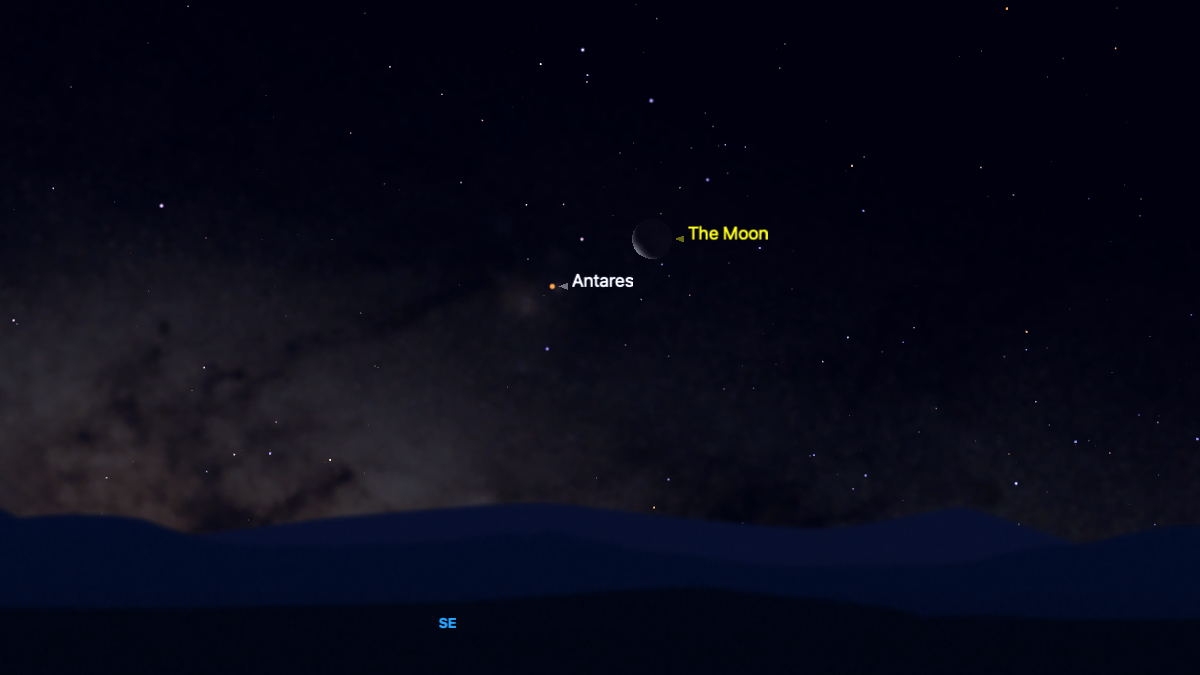 A simulation of the night sky for Jan. 14 showing the thin waning crescent moon low on the southeastern horizon with the red star Antares close to its lower left. The glow of the Milky Way is also visible to the left hand side of the screen close to the horizon.