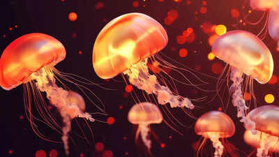 5 animals that don’t poop: The creatures that break the rules of digestion