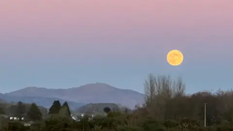 BBC Weather Watchers/derekb A yellow moon on a sky which fades from pink to blue with hills and trees down below.