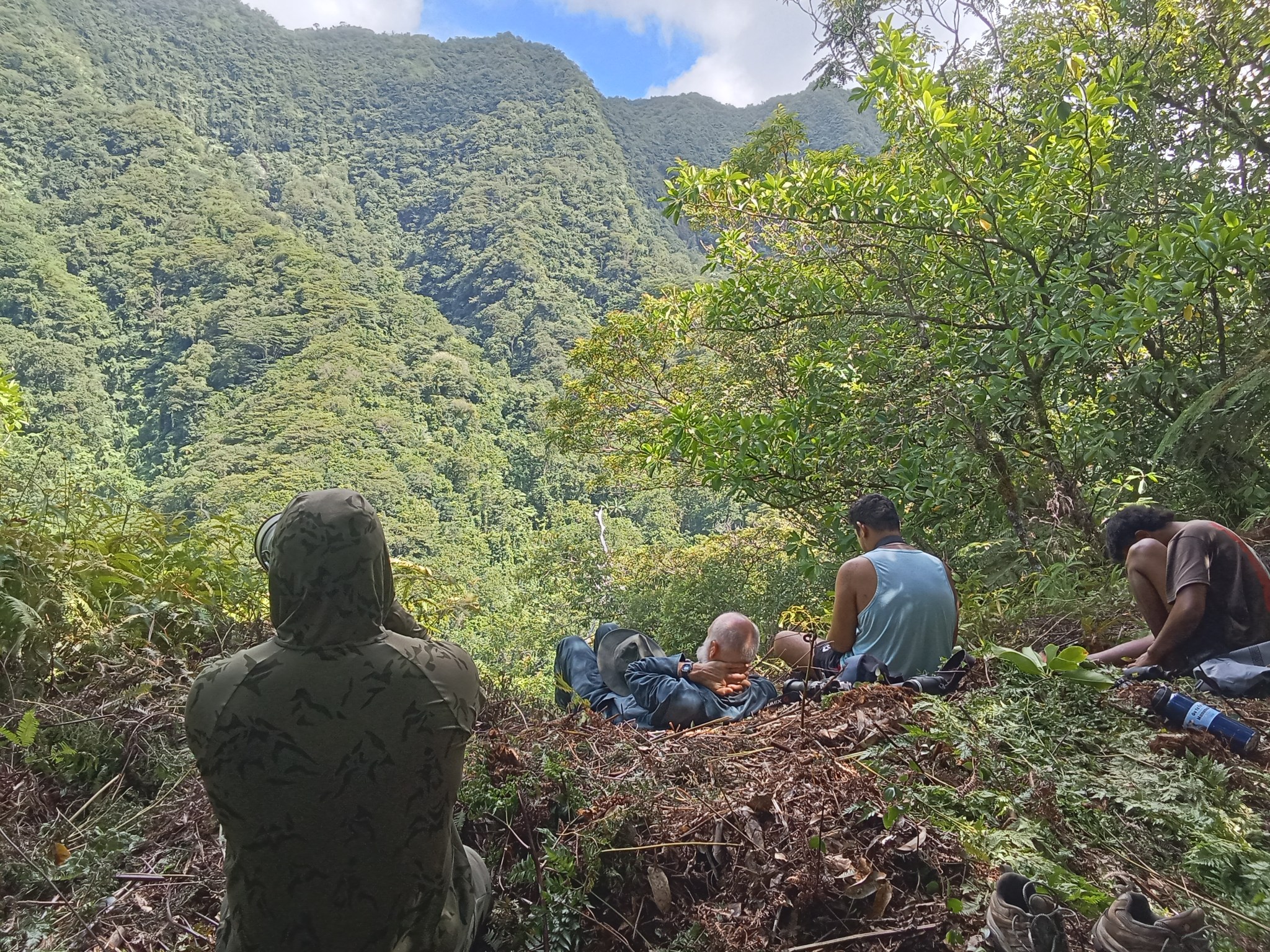 A group of people sitting on a hill in the jungle