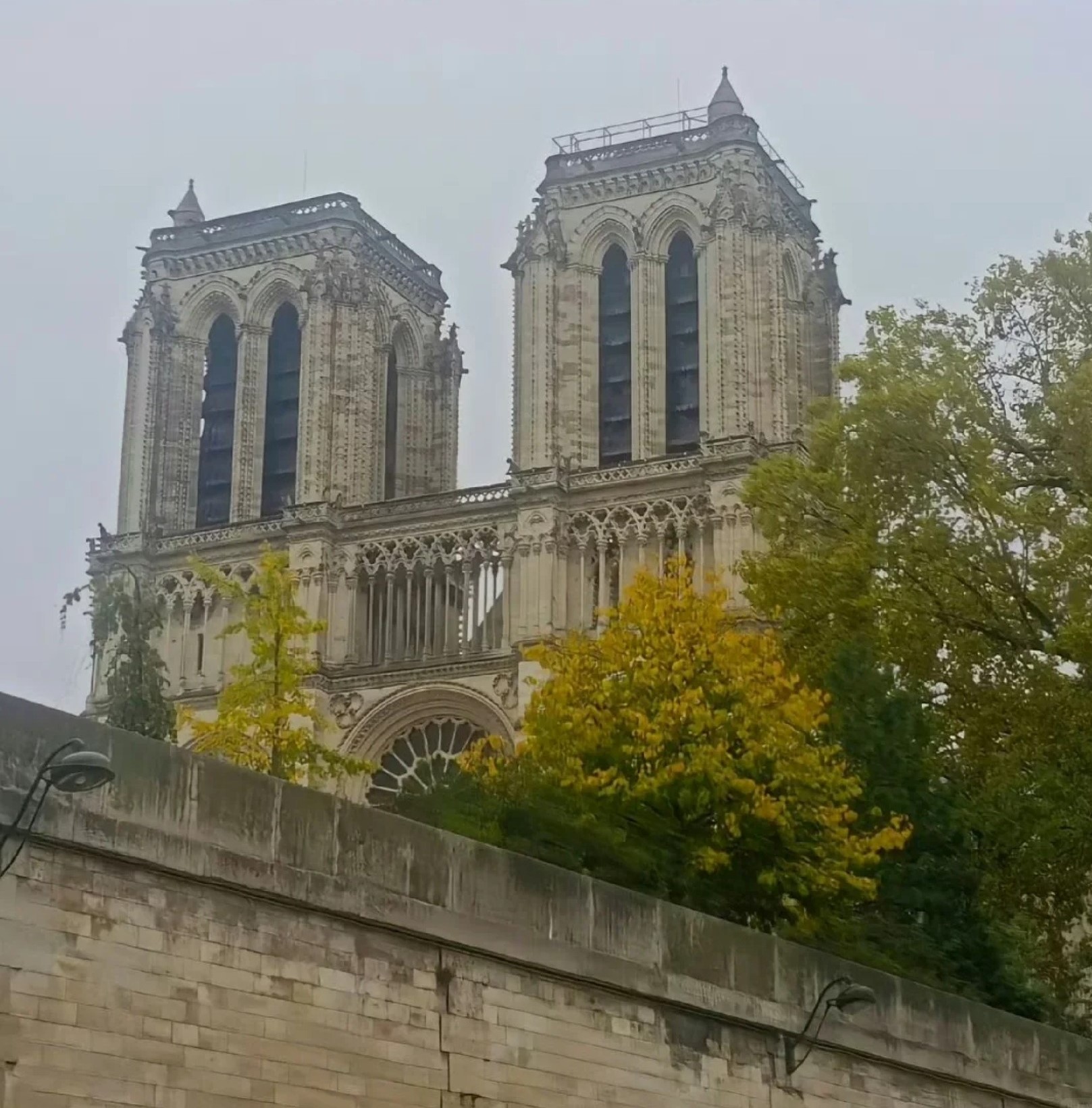 (photo credit: RADII)