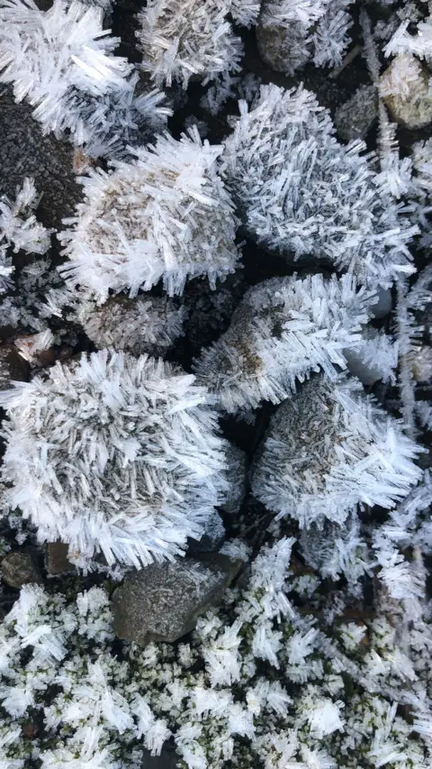 Sam Macdonald Johnston Close‑up of frost‑covered stones, each coated in clusters of delicate ice crystals.