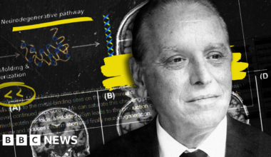 The battle over Canada's mystery brain disease