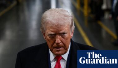 American democracy on the brink a year after Trump’s election, experts say | Donald Trump