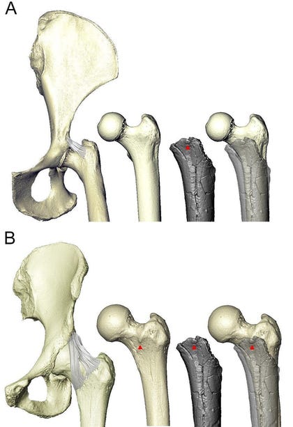 Science Advances Press Package
