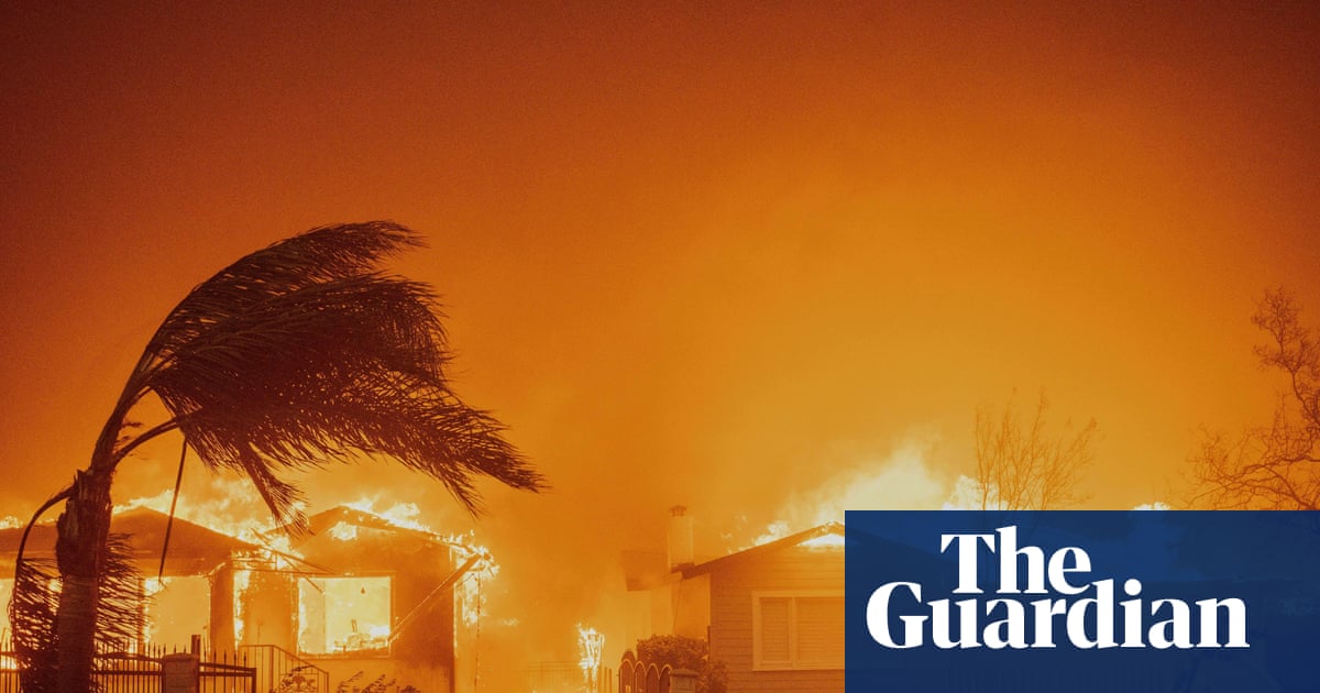 Three LA wildfire victims on surviving the horror – and what happened next | California