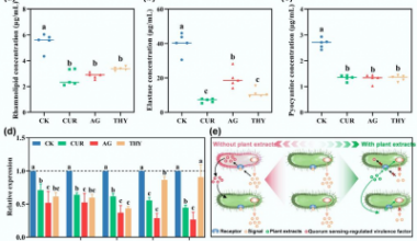 Plant-Derived compounds offer a green strategy to reduce pathogens and antibiotic resistance in manure-amended soils