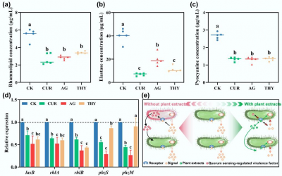 Plant-Derived compounds offer a green strategy to reduce pathogens and antibiotic resistance in manure-amended soils