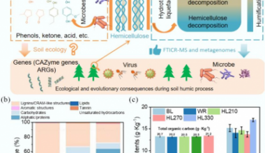 From straw to soil signals: Humic substances drive microbial metabolism and antibiotic resistance