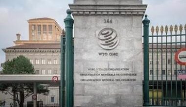 China welcomes WTO panel ruling in case against US clean energy subsidies: spokesperson