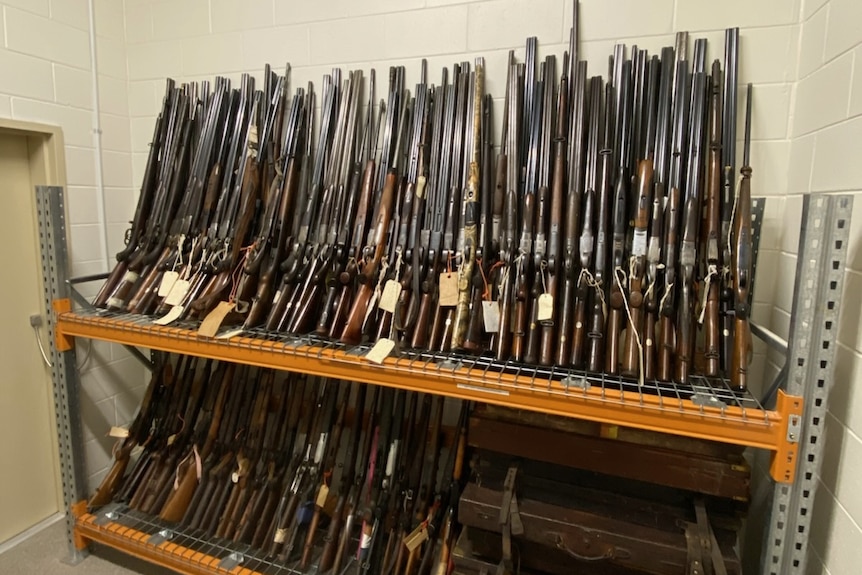 Two rows of guns lined up in a storage room.