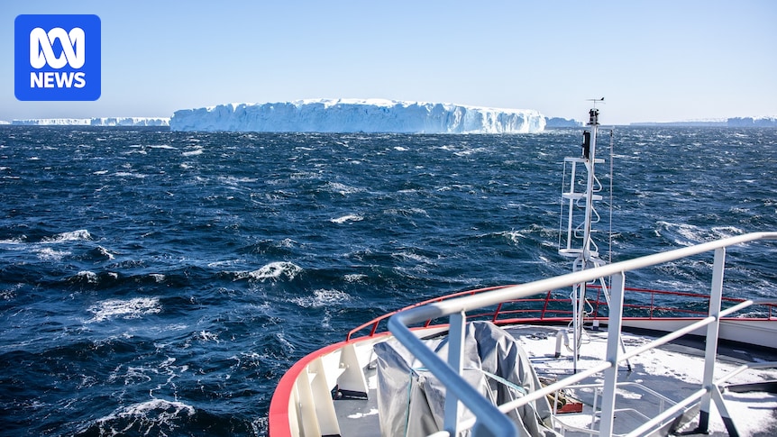 Australia investigating options to assist search for missing diver in Antarctica